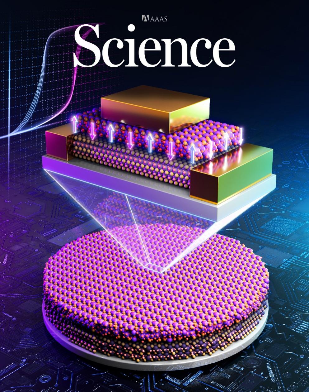 【成果】国内重磅成果，登陆《Nature》！