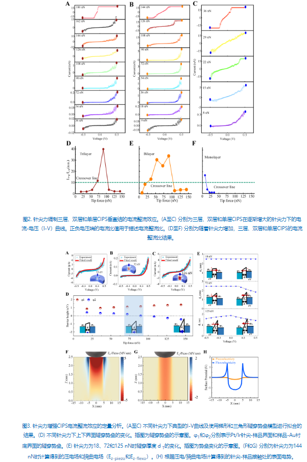 北京理工大学在单层压电材料研究中取得重要进展_半岛官方下载入口(图2)