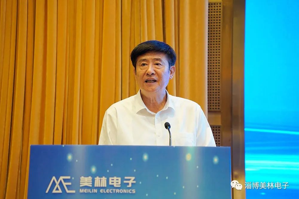 美林电子董事长、总经理李安在“拥抱新经济 布局芯赛道”美林电子IGBT芯片模块新产品发布会上的致辞