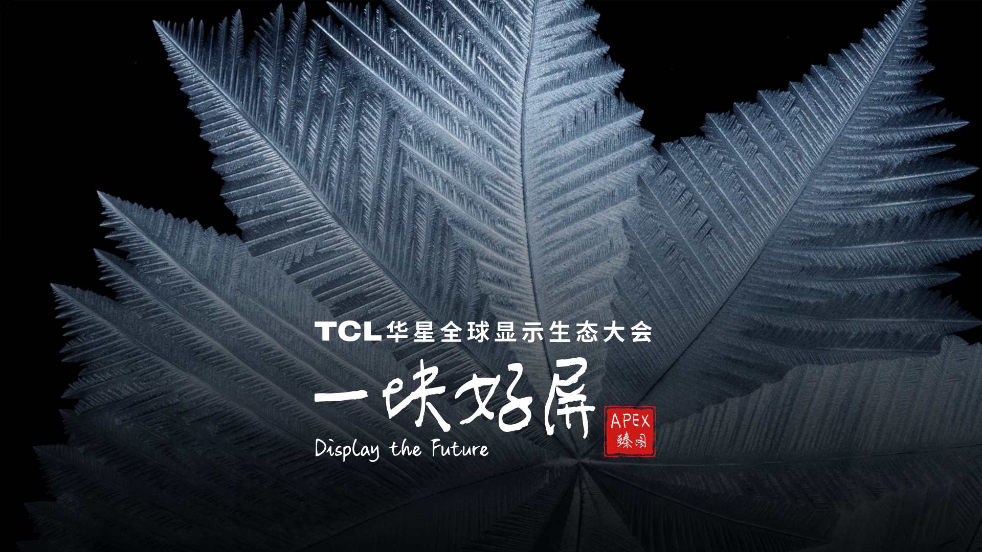 一块好屏  无限可能 #TCL华星全球显示生态大会 #DTC2025 #臻图视界印韵生辉  #APEX臻图 共鉴显示万象新篇