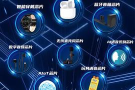 2023年营收净利双增，中科蓝讯引领无线音频SoC芯片行业风潮