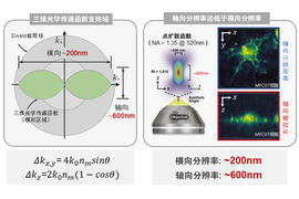 南京理工大学电光学院陈钱、左超教授团队在计算光学显微成像领域重要研究进展