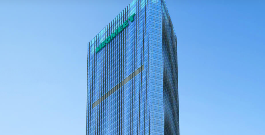 麦格米特拟以自有资金8.9亿元增资两家全资子公司