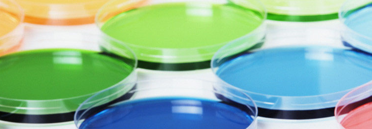 【名单】刚刚!科创板第一批受理公司出炉;