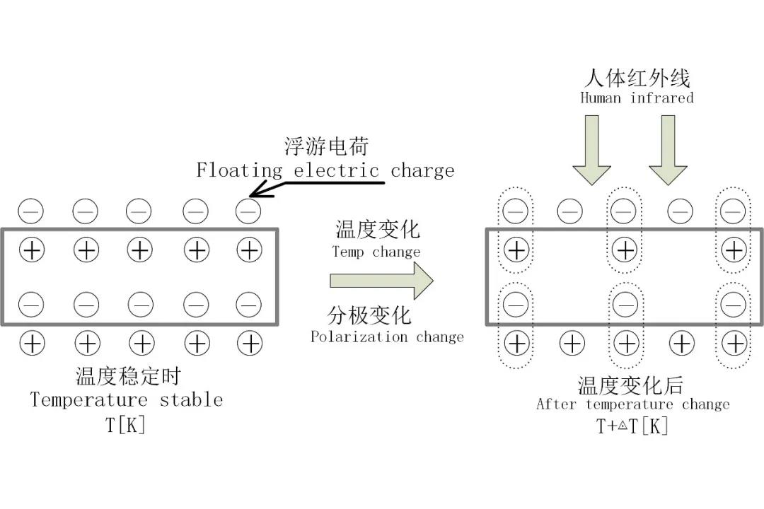 智能感知技术 | 基于晶华微SD4101R的人体热释电应用方案