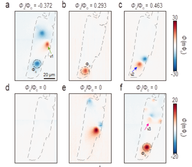 复旦大学王熠华课题组观测到铁基超导体中的量子反常磁通涡旋