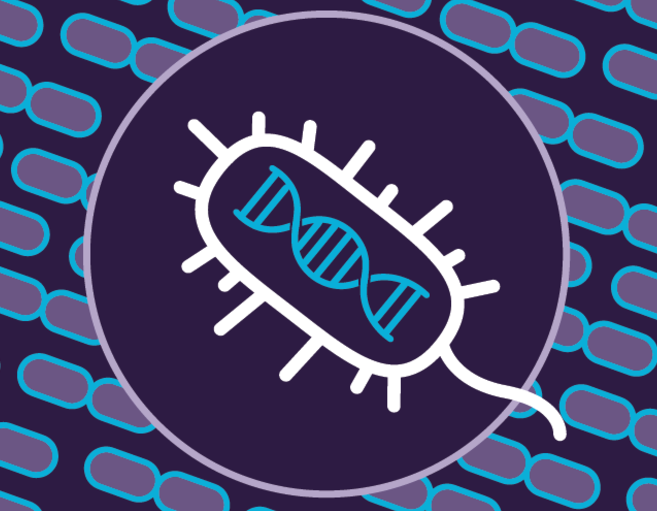 计算机算法识别出 188 种新的 CRISPR 基因编辑系统