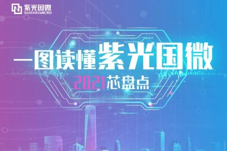 一图读懂 | 紫光国微2021芯盘点