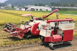 鸿海在深圳新设子公司 加强智慧农业布局
