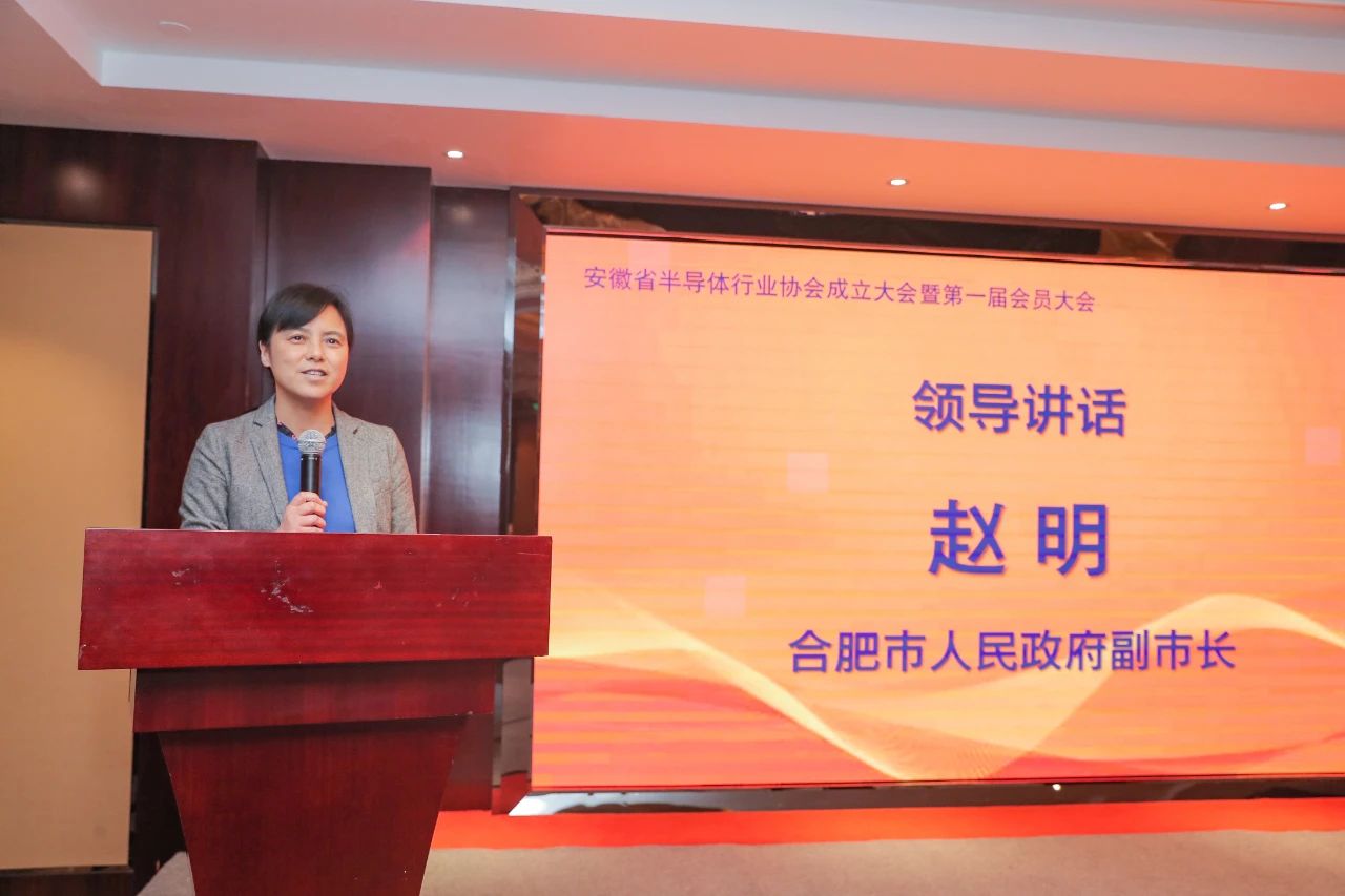安徽省半导体行业协会成立助推安徽半导体产业更高更快发展