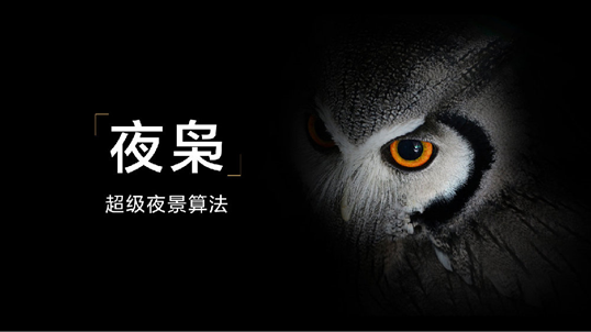 小米科普能够在极暗光场景拍出清晰明亮图像的夜枭算法