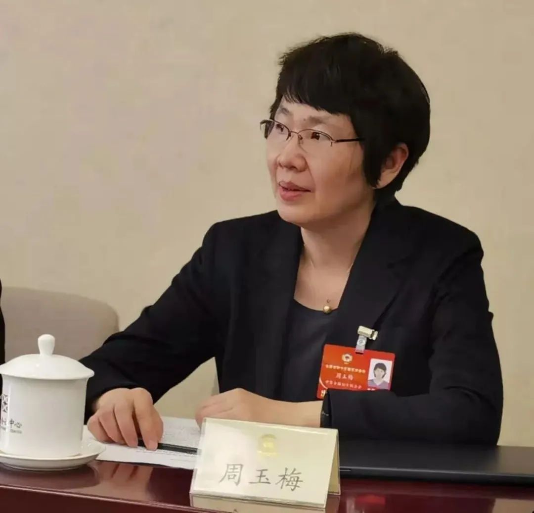 两会周玉梅多渠道为芯片行业输送人才民盟中央加快集成电路科学与工程